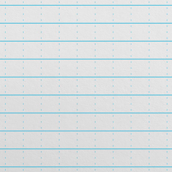 Carnet Rite in the Rain, gros plan du papier avec lignes bleues et lignes pointillées