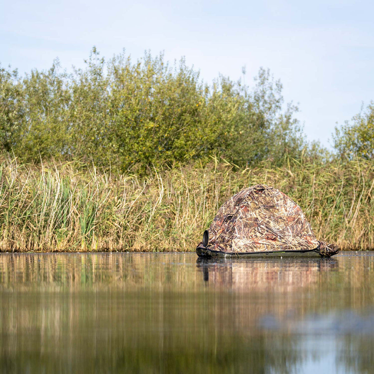 Affût flottant Buteo Grebe sur une rivière devant une rive avec roseaux et arbres