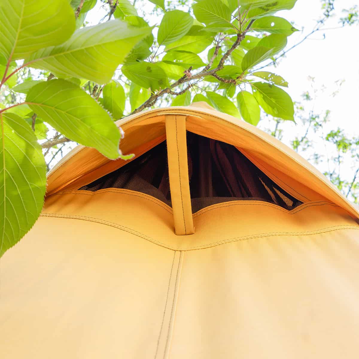 Winnerwell Arctic, ouverture d'aération au sommet vue d'en bas sous des feuilles vertes