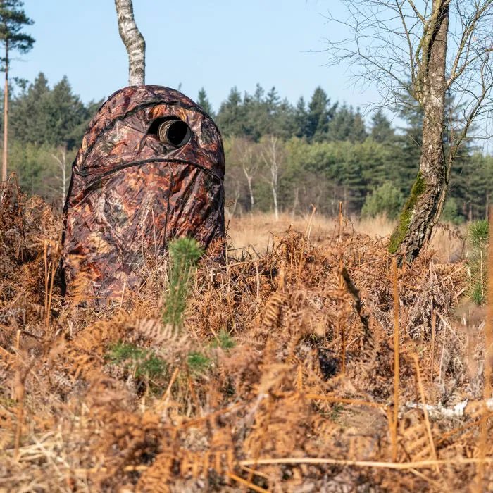 Affût chaise individuel Stealth Gear M2 installé parmi les fougères en lisière de forêt