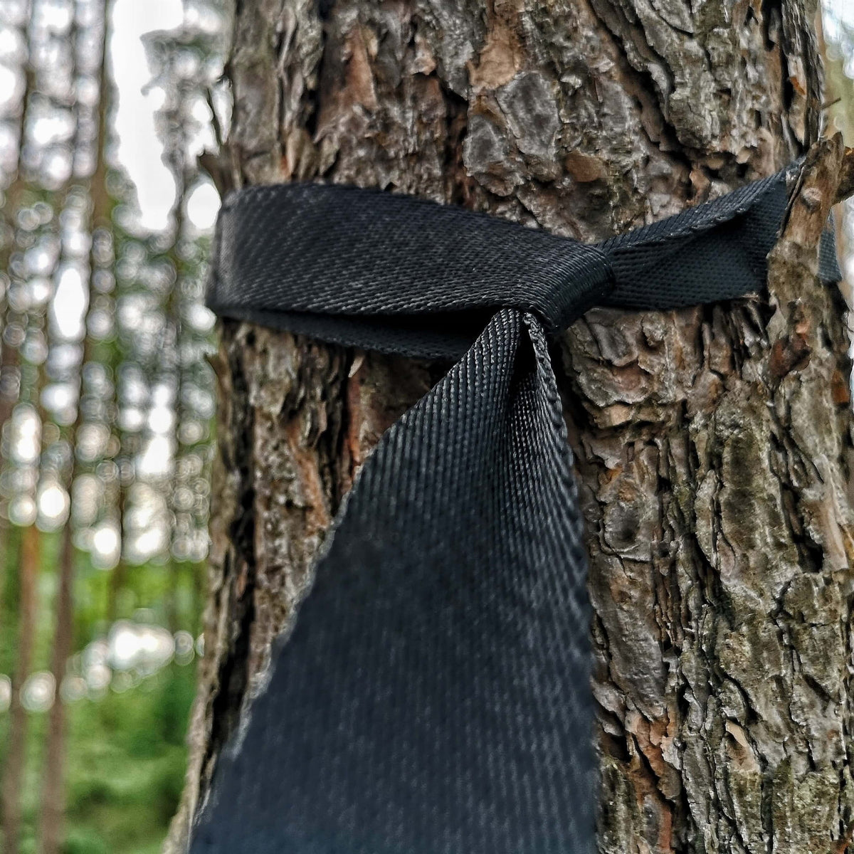Sangle noire Triplander Quick Drag passée autour d'un tronc d'arbre en forêt
