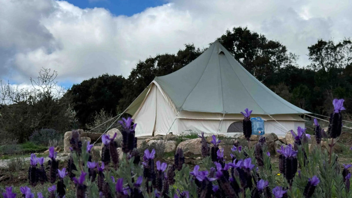 Tentaccessoires, witte bell tent tussen paarse lavendel onder een bewolkte lucht