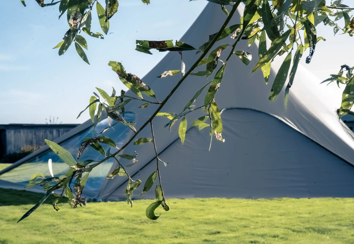 paroi latérale fermée StarShade Pro grise sous une tente StarShade, vue derrière des feuilles